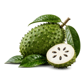 Soursop
